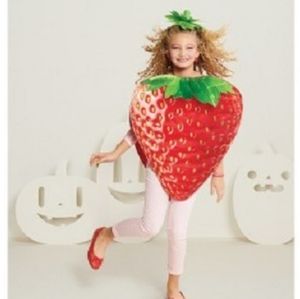 Kids Strawberry Halloween costume one size